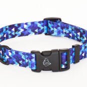 Dog collar with DURAFLEX buckle, Shine in Blue collection