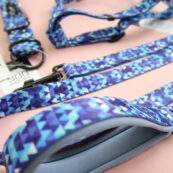 stylish-blue-design-leash