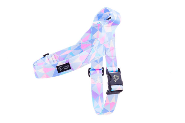 Szelki norweskie dla psa, kolekcja Candy Blue