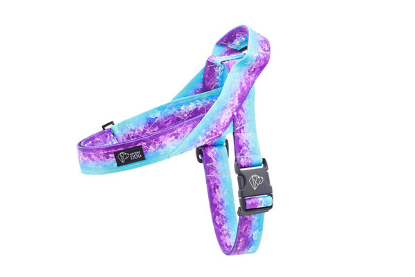 Szelki norweskie dla psa, kolekcja Aqua Violet