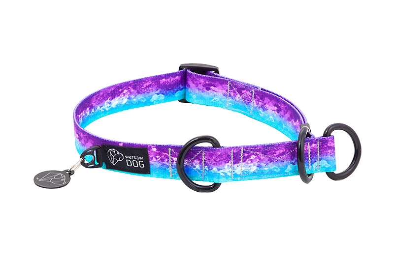 Aqua Blue Reflective Trim Collar