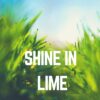 Szelki norweskie | Shine in Lime