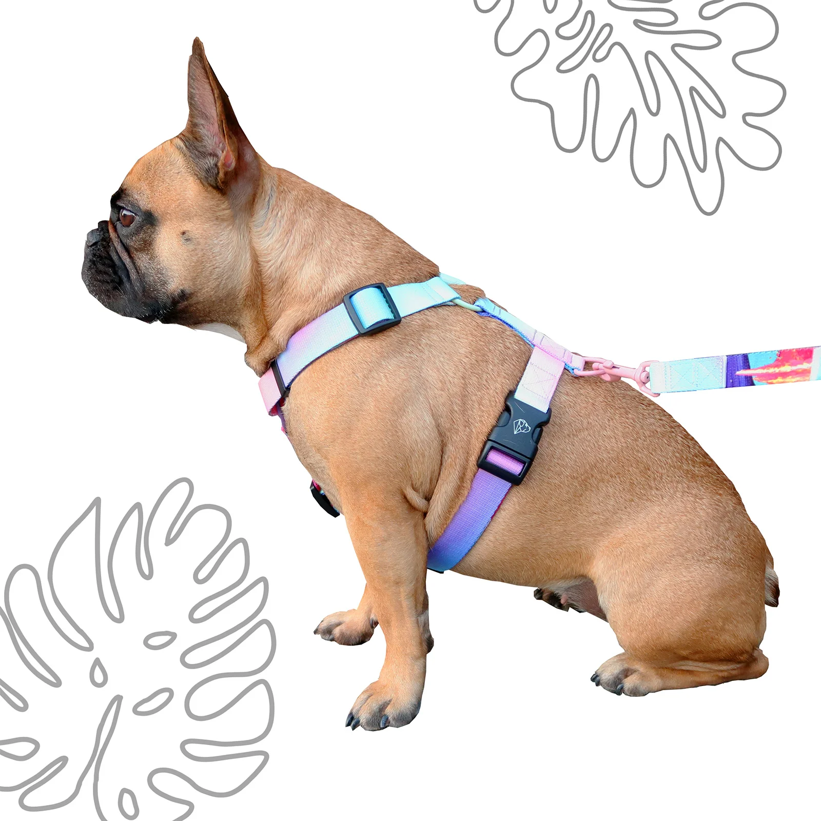 Frenchie bulldog clearance harness