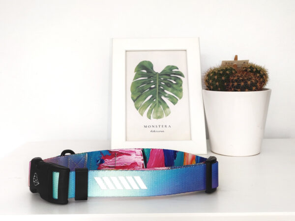 Kolorowa odblaskowa regulowana obroża dla psa