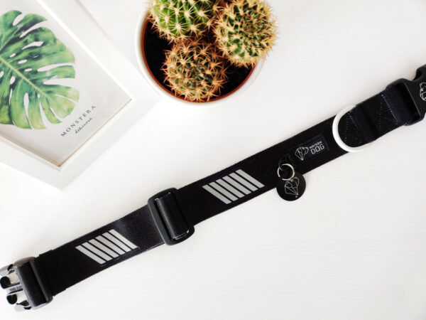 czarna obroża regulowana z odblaskiem dla psa warsaw dog