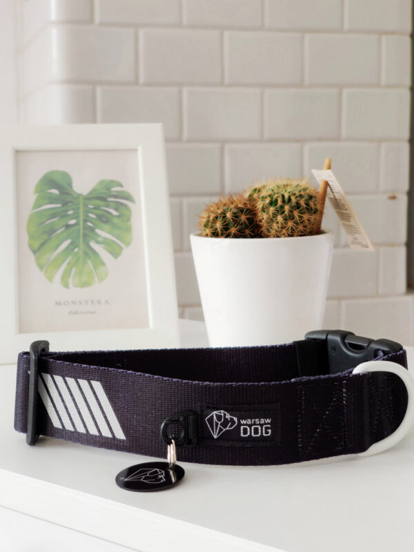 czarna odblaskowa obroża dla psa z adresatką na tle kaktusa