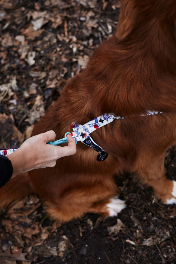 szelki warsaw dog opinie magic forest szczegóły
