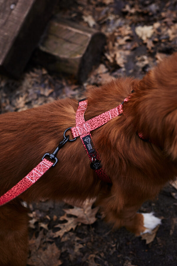 szelki dla psa regulowane lekkie komfortowe panterka nadruk