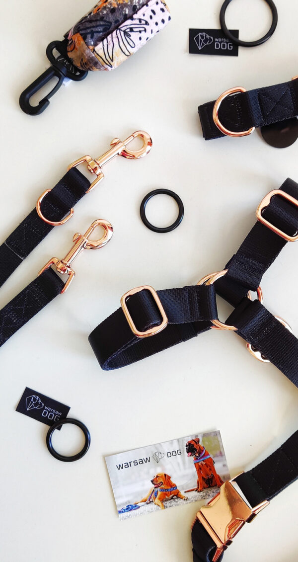 okucia różowe złoto z czarną taśmą dla psa