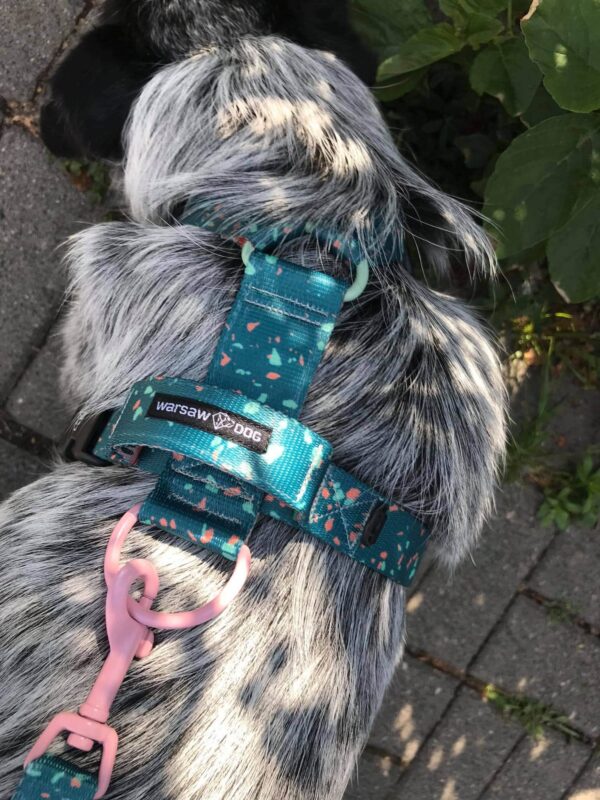 leash harness colored terrazzo green warsaw dog