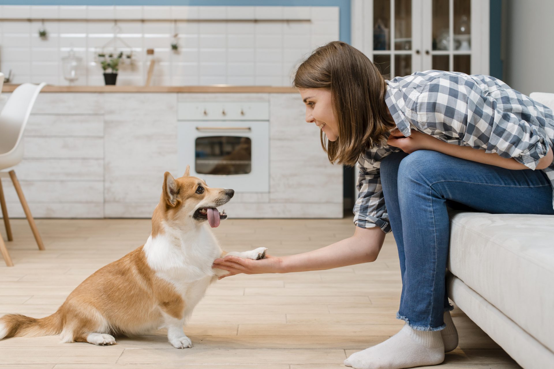 Jak nauczyć psa podawać łapę?