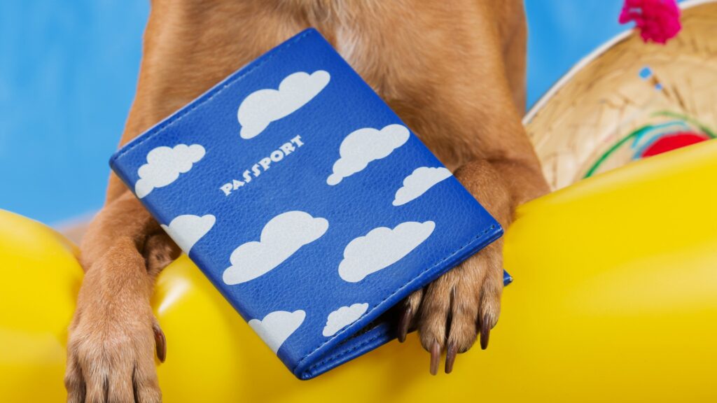 Passport for a dog all the necessary information! WARSAW DOG