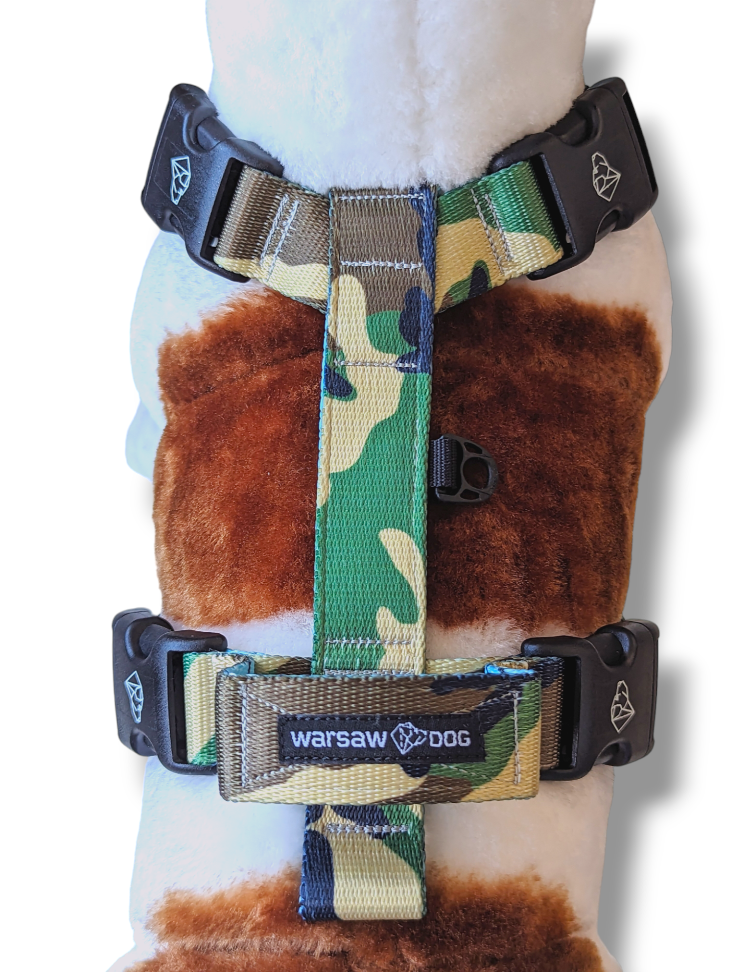 OUTLET Szelki Balance | Dogsplorer (XS, S) - obrazek 3