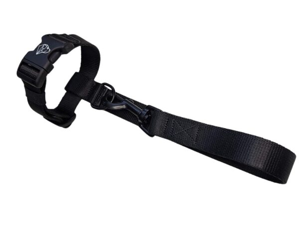 leash on the wrist protection against tearing off the leash