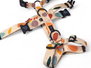dog harness after adoption post-adoption safe escape-proof boho modern design