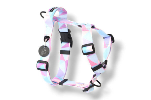 dog harness with a handle and an additional candy blue leash attachment