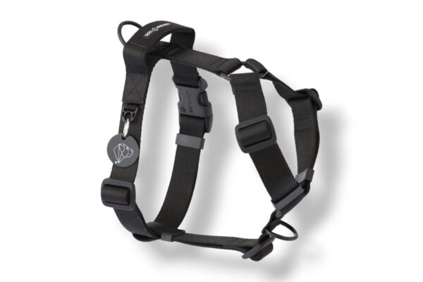 classic black dog harness with handle and additional leash attachment