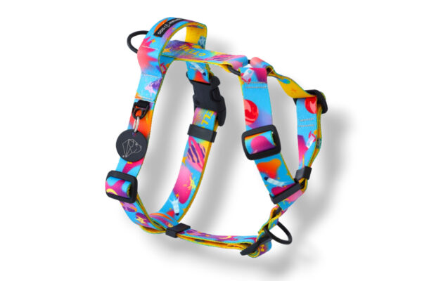 dog harness with a handle and an additional astrodog leash attachment