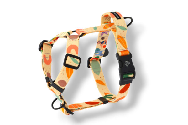 dog harness with a handle and an additional boho leash attachment