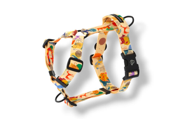 dog harness with a handle and an additional dogandi leash attachment