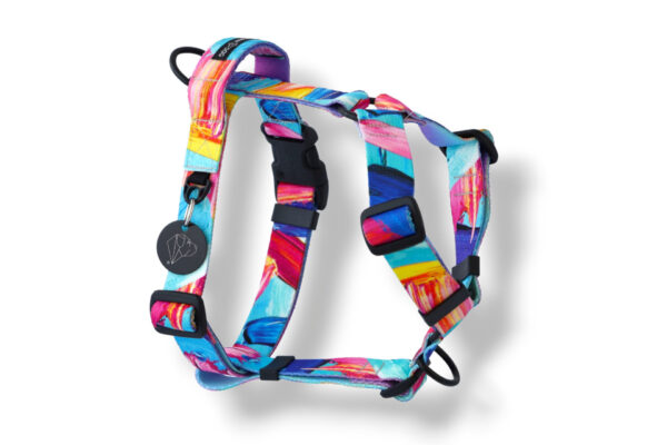 dog harness with a handle and an additional shake leash attachment
