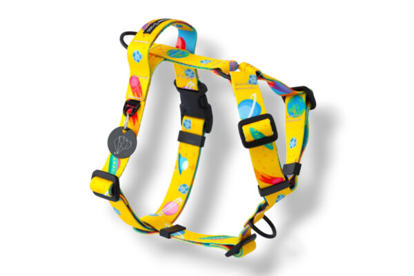 dog harness with a handle and an additional meteor leash attachment
