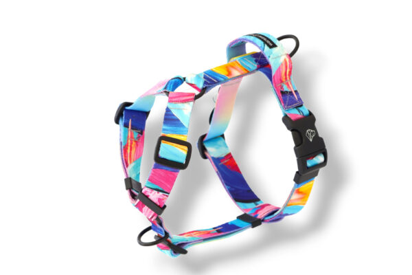 dog harness with a handle and an additional dogandi leash attachment