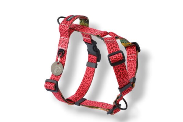 guard sport harness with doguar handle