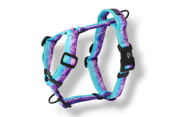 dog harness with a handle and an additional leash attachment aqua violet violet mint
