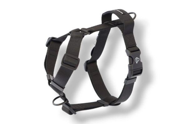 classic black dog harness with handle and additional leash attachment