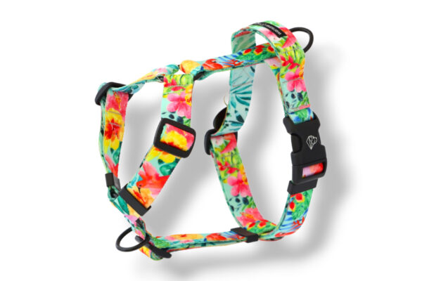 dog harness with a handle and an additional tropical leash attachment