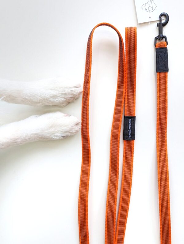 orange non-slip dog leash