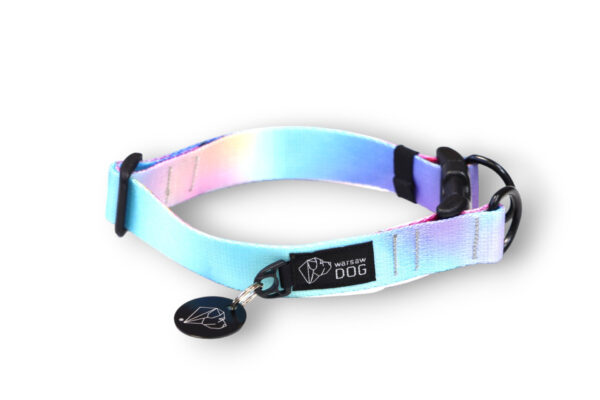 Collar with a double lock buckle safe for dogs Smoothie gradient