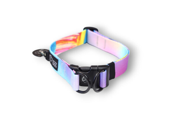 Collar with a double lock buckle safe for the dog Wild Cats Smoothie