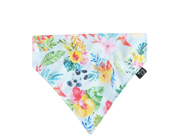 dog scarf tropical pattern collectible