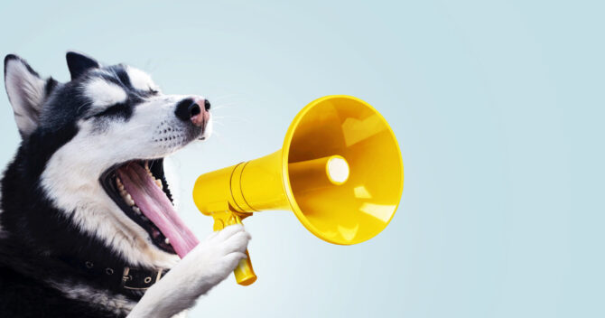 Jak nauczyć psa sygnalizowania potrzeb?