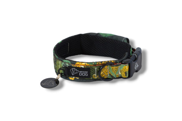collar-lined-with-mesh-for-dog-wild-cats-warsaw-dog
