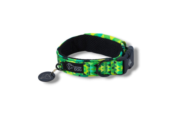 collar with a print, lined with a mesh on the shine in lime buckle