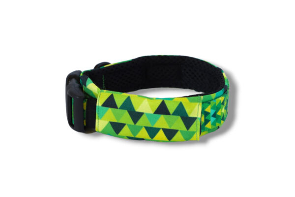 collar-with-print-lined-mesh-on-buckle-shineinlime