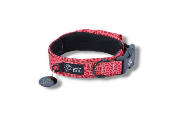 collar with a print, lined with a mesh with a latch dog warsawdog