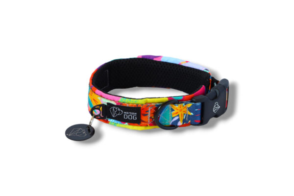 collar-with-print-mesh-lined-with-snap-clasp-waikiki-warsaw-dog