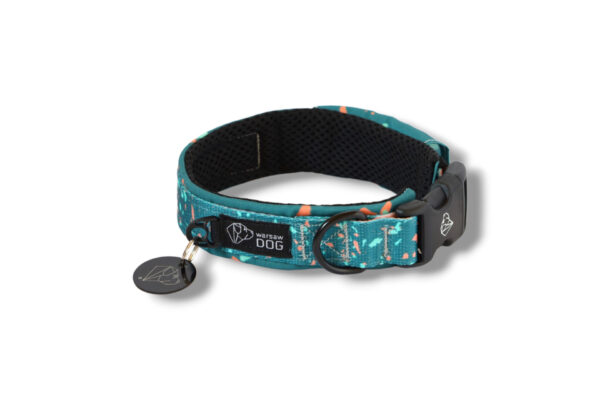 collar with confetti buckle lining