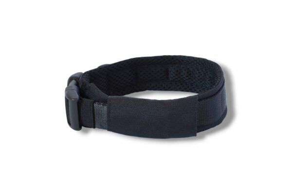 padded-collar-on-a-buckle-warsaw-dog