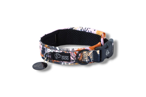 collar-with-a-buckle-warsaw-dog-rose-gold