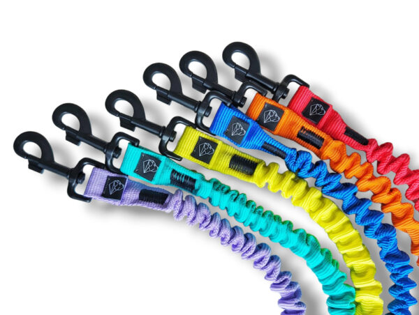 Different colors of shock absorbers