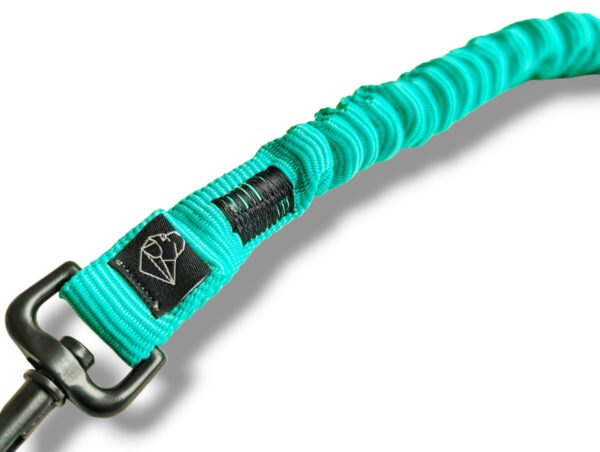 mint shock absorber dog leash clip