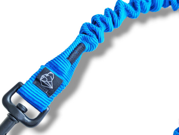 blue shock absorber dog leash clip