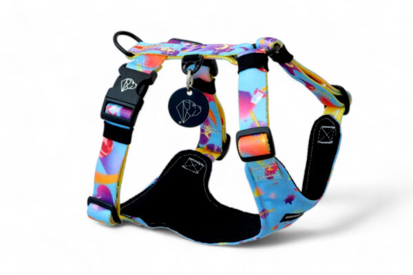 safe dog harness with two buckles