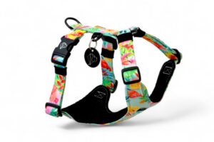 pressure-free tropical dog harness