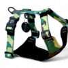 Pressure-free physiological harness for a male dog